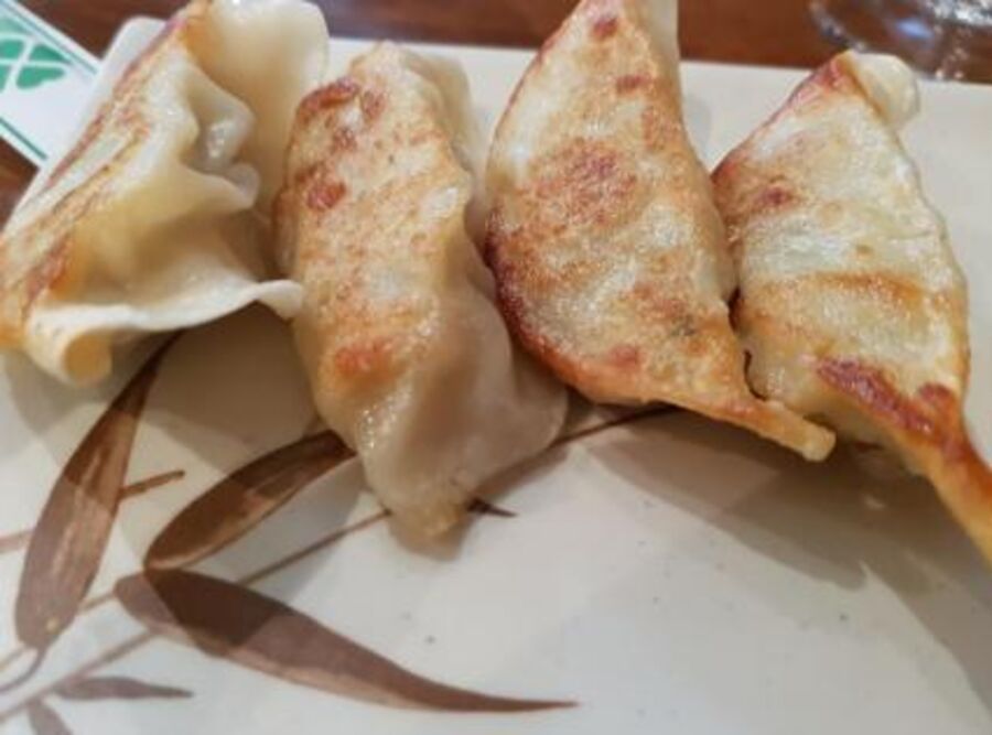 Gyozas grillés
